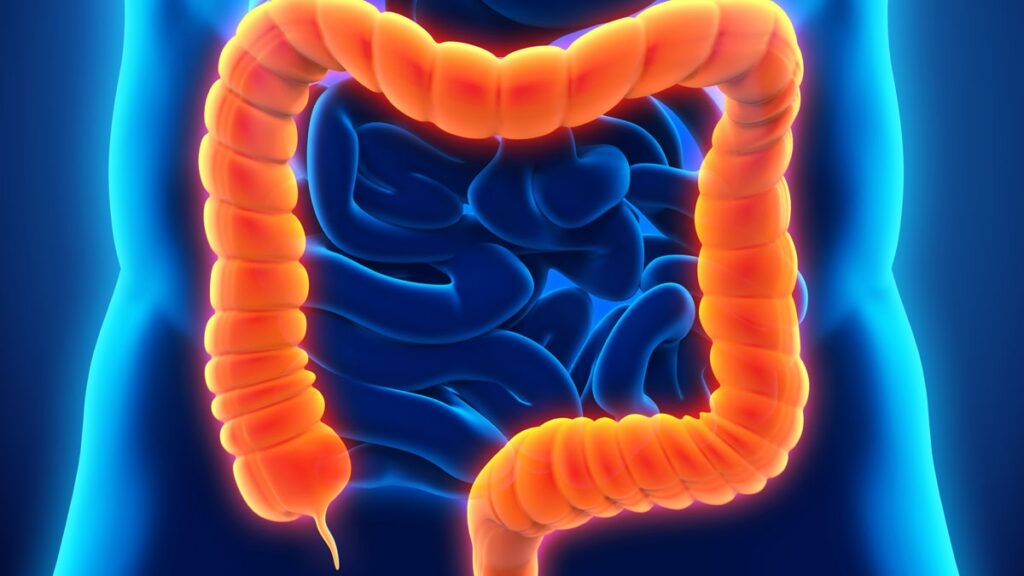 How Long Does Colon Cancer Surgery Take?