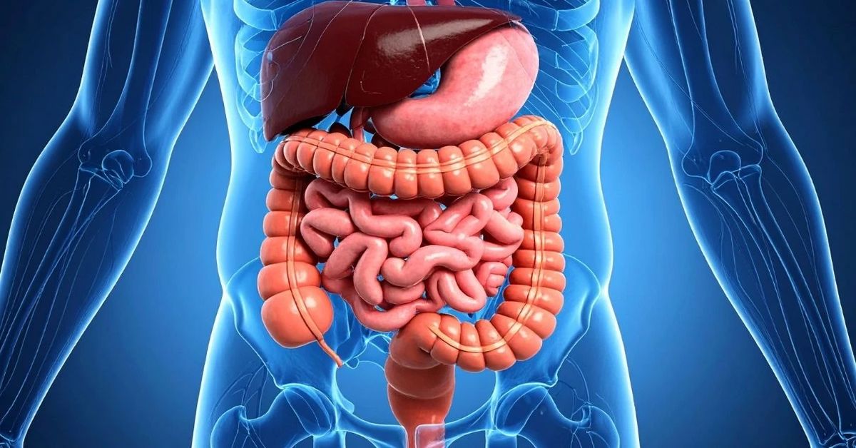 ما هو التهاب القولون التقرحي؟
