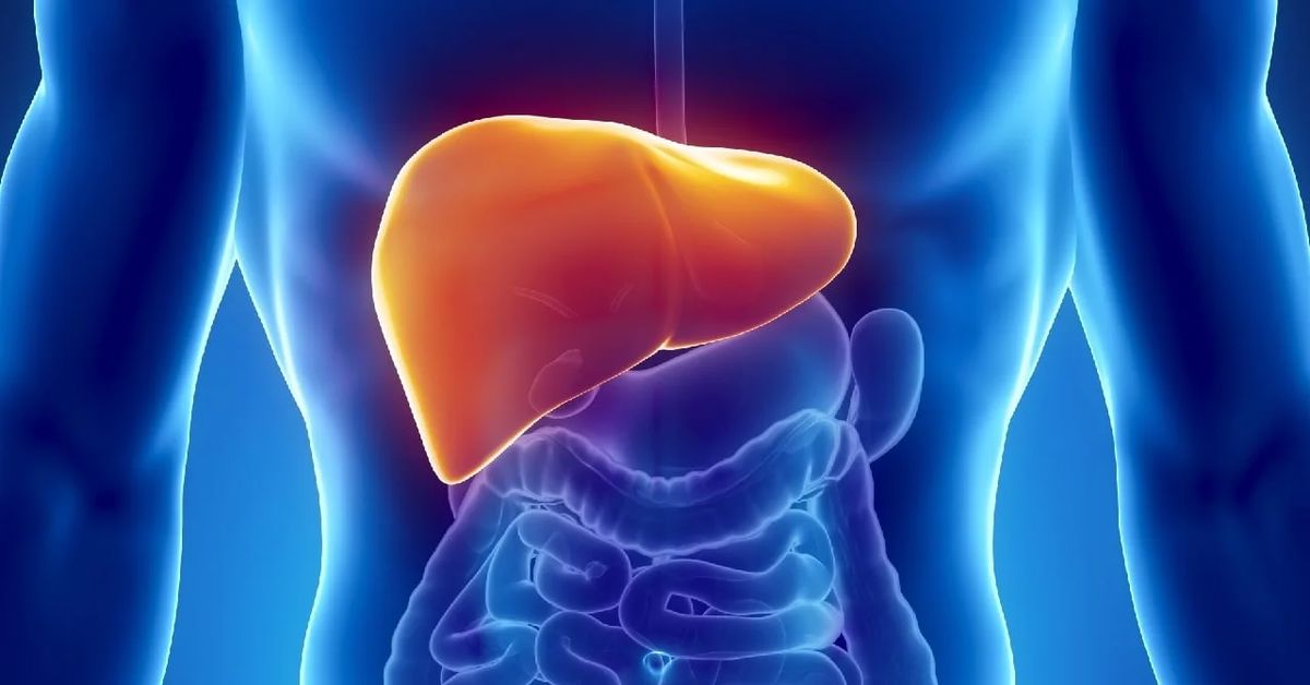 Karaciğer Enzim Yüksekliği