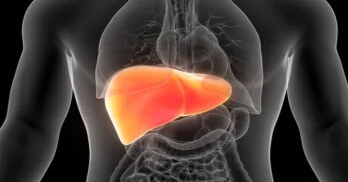 Karaciğer Enzim Yüksekliği