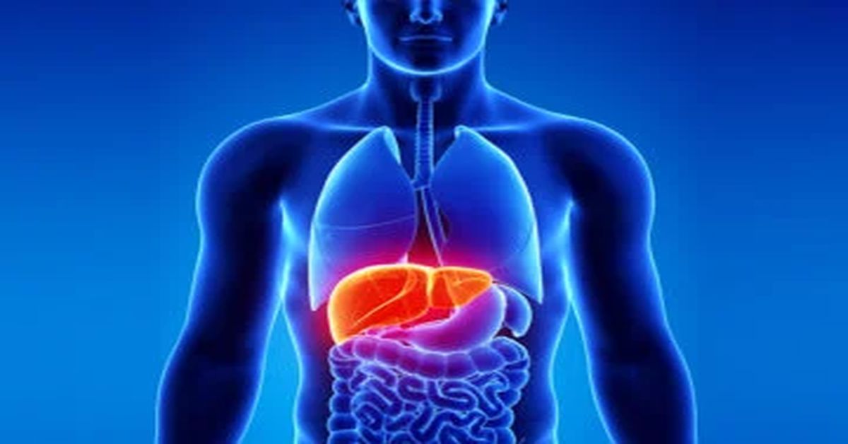 Safra Kanalı Tıkanıklığı