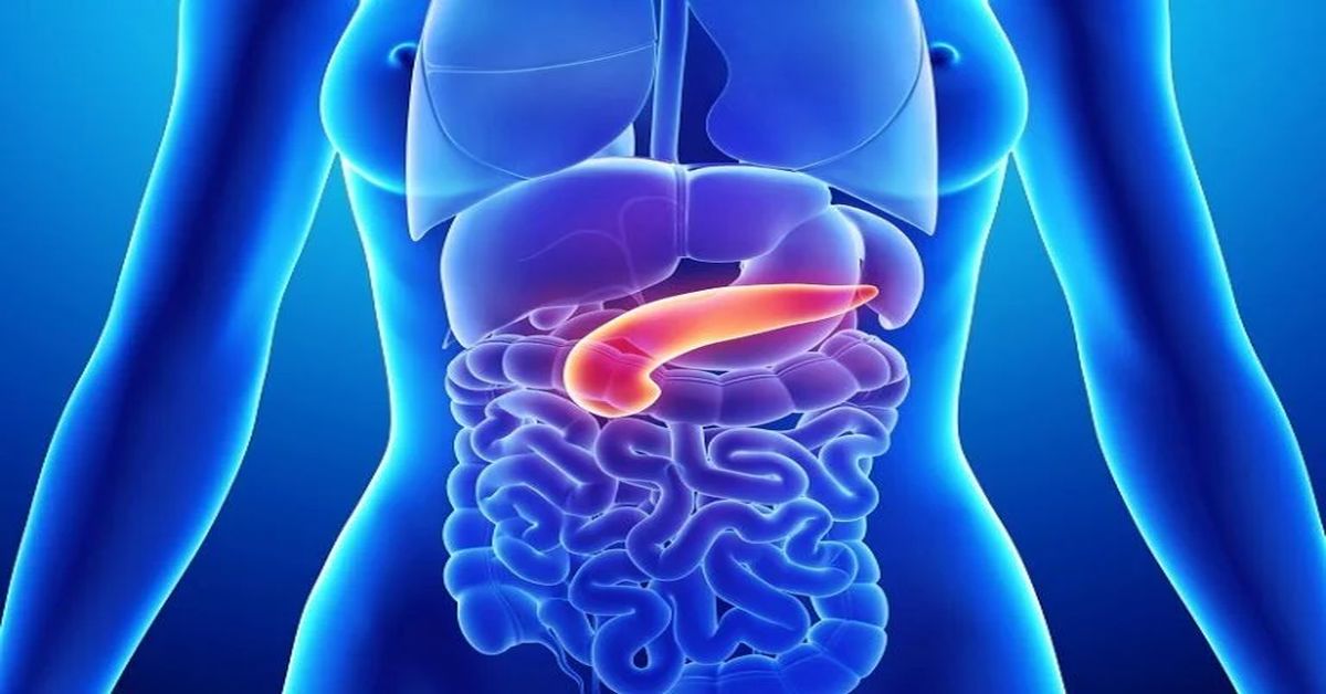 Safra Yolu Enfeksiyonu